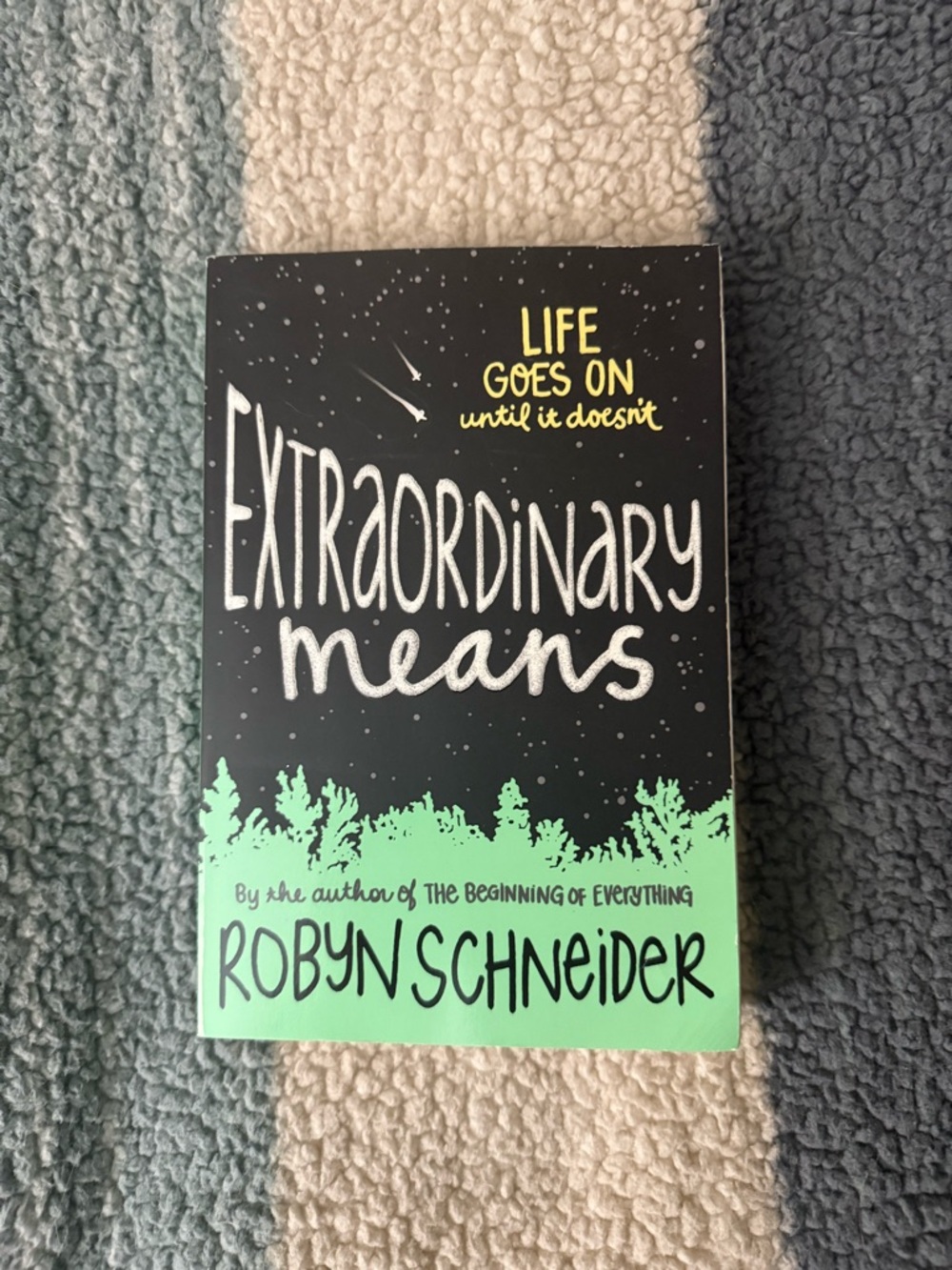 Extraordinary Means by Robyn Schneider - Black & Mint Green Cover